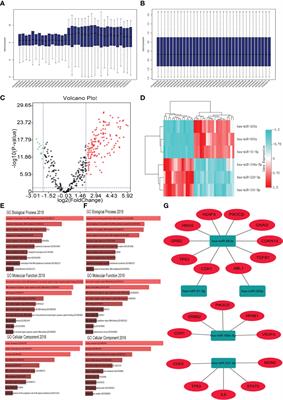 Exosomal MiR-199a-5p Inhibits Tumorigenesis and Angiogenesis by Targeting VEGFA in Osteosarcoma